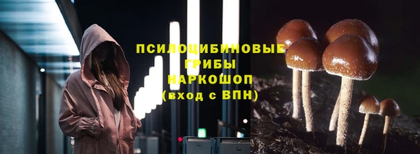 винт Новокубанск