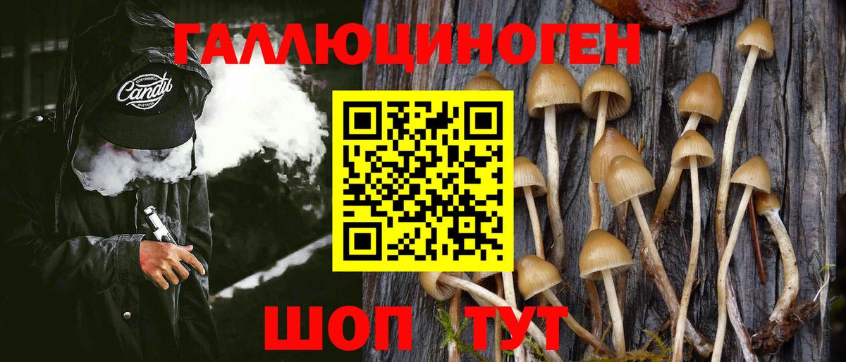 Псилоцибиновые грибы ЛСД Кинешма