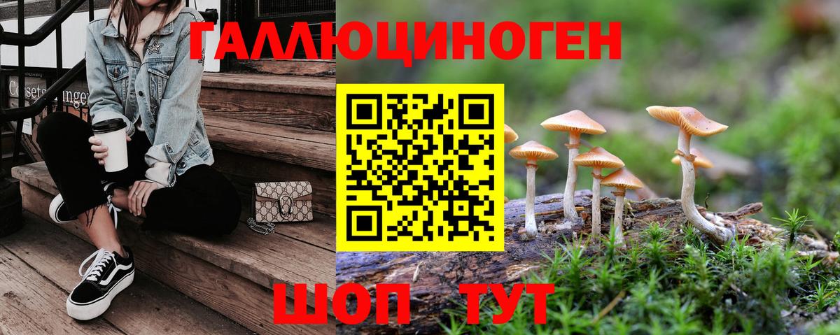 Галлюциногенные грибы мухоморы Кинешма